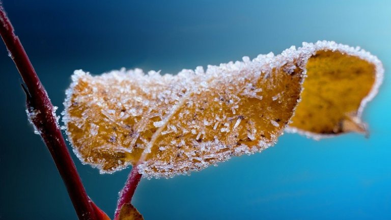 Большие перепады температуры типичны для октября в Иркутской области